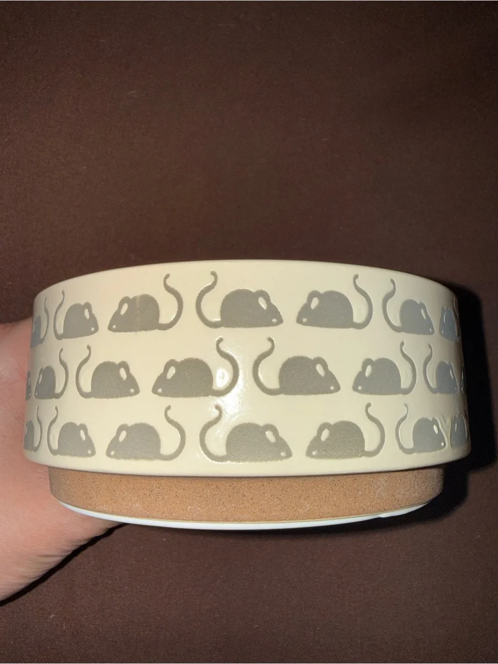 cat bowl